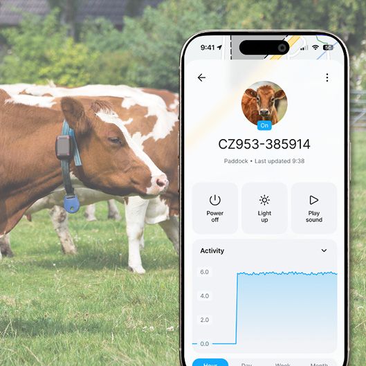 Důležité informace o zvířeti v přehledné aplikaci